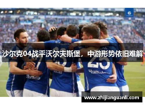 沙尔克04战平沃尔夫斯堡，中游形势依旧难解